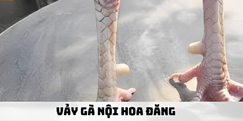 Vảy nội hoa đăng mang ý nghĩa về nhiều mặt